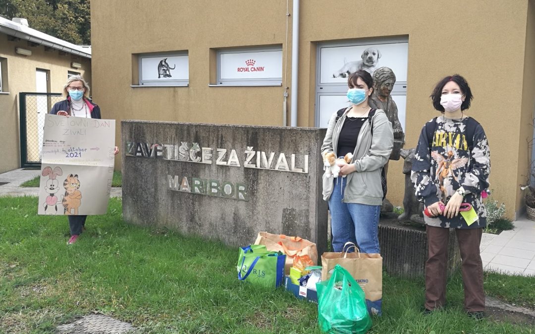 Obiskali smo Zavetišče za živali Maribor